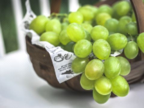 北京曲水兰亭酒店 - 商务套房