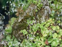 鑫概念酒店(杭州印象湖畔店) - 印象山景房