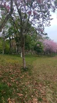 酒店图片