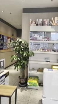 酒店图片