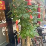 酒店图片