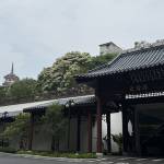 酒店图片
