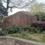 酒店图片