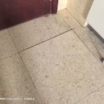 酒店图片