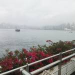 酒店图片