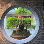 酒店图片
