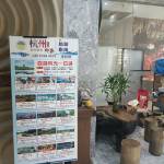 酒店图片