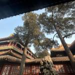 酒店图片
