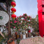 酒店图片