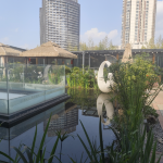 酒店图片