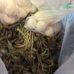 酒店图片