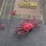 酒店图片