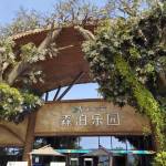 酒店图片