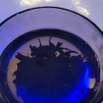 酒店图片