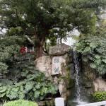 酒店图片