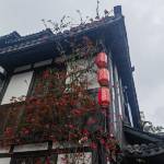 酒店图片