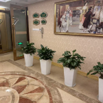 酒店图片