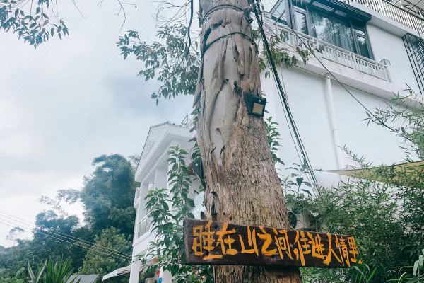 酒店图片